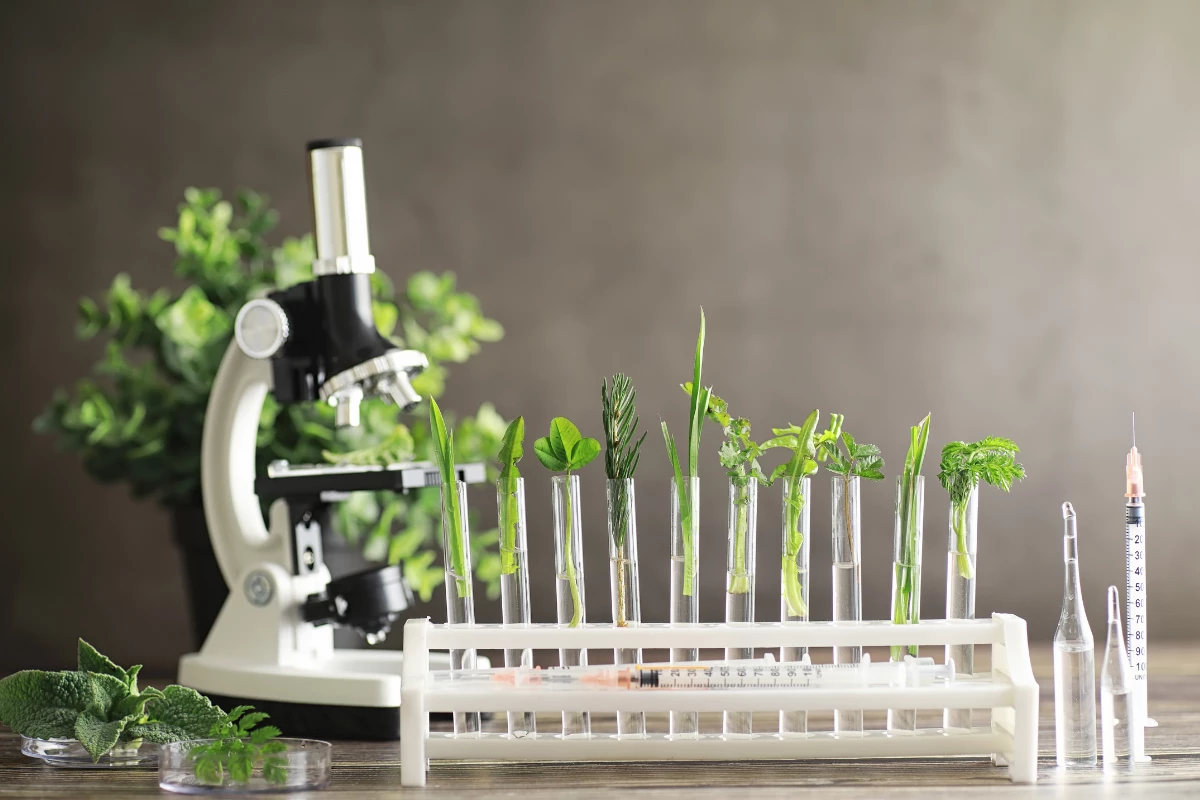 Rhonda Patrick on Sauna Use for Brain Health and Neurogenesis