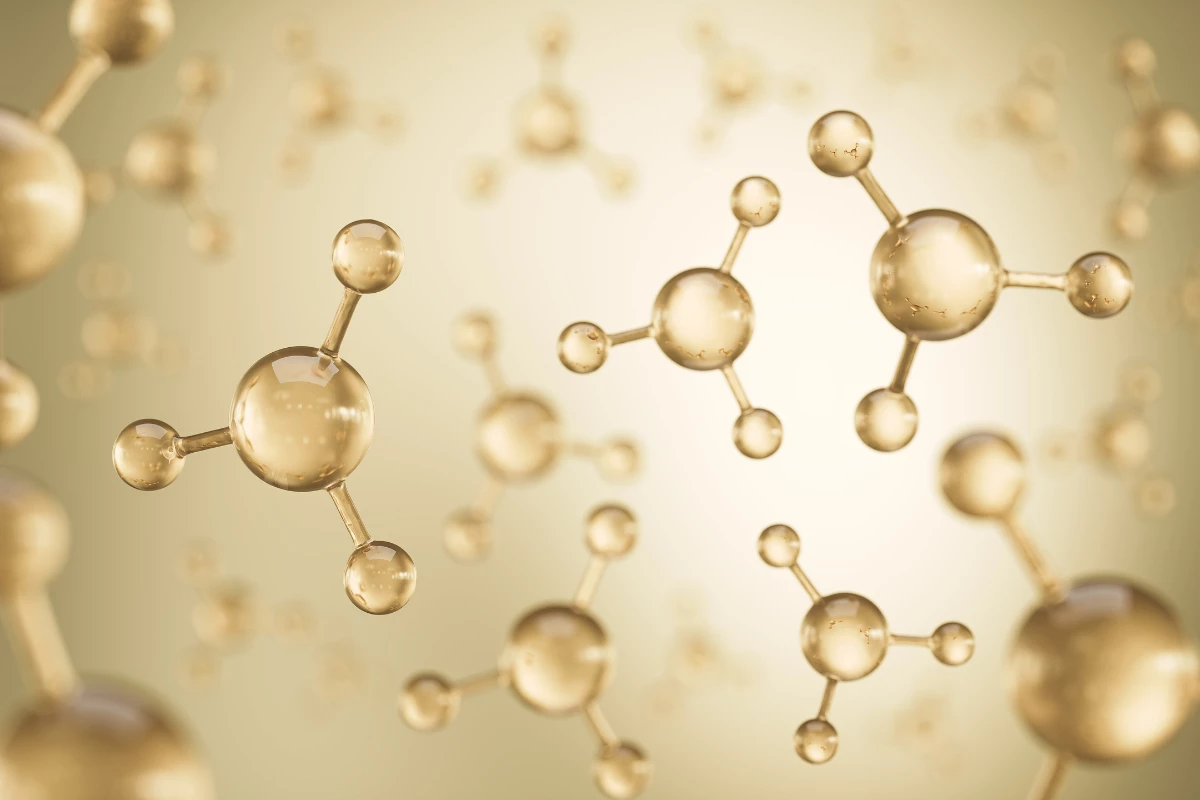 Coleen Murphy's Reproductive Aging Research: What Worms Tell Us About Menopause