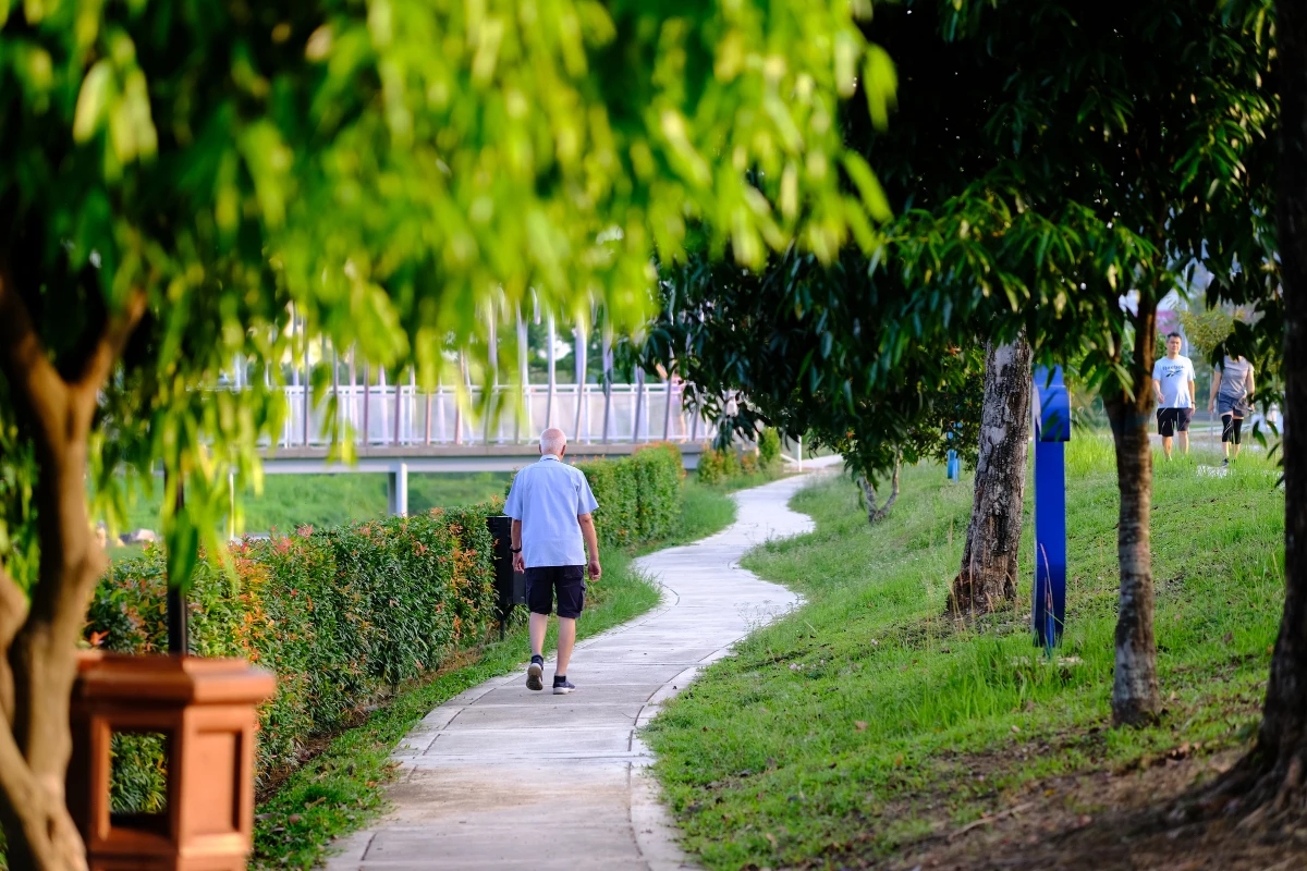 The Dark Side of Senolytics: Why We Actually Need Some Zombie Cells