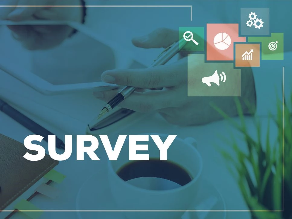 Surveying Success: Best Practices in Customer Surveys for Digital Marketers
